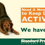 Standard Process Veterinary Formulas introduces new canine joint support