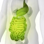 7 science-supported benefits of digestive enzymes and dietary supplements for digestive healing