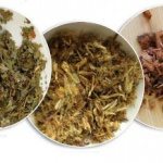 The top herbal supplements for digestive health