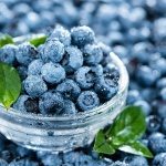 The eye-opening benefits of bilberry