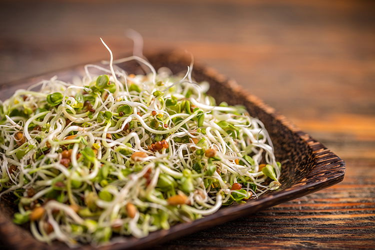 Teach your patients about alfalfa benefits