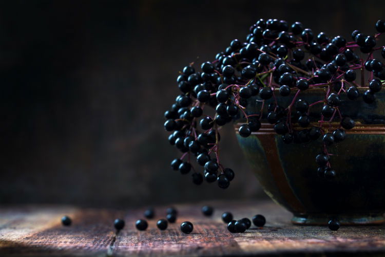 Given these numbers, you are likely seeing an increase of patients in your office who are looking for ways to guard themselves and their families against this year’s cold and flu season. Some research into elderberry benefits may help arm them for this serious battle.