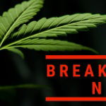 Breaking News Update: President signs Farm Bill, legalizing industrial hemp