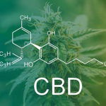 Top 5 most-popular CBD and hemp articles of 2022