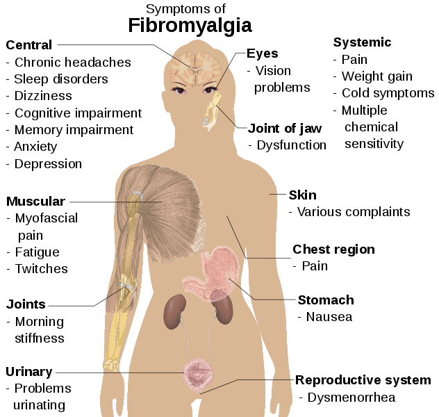 A health protocol with an easily-remembered acronym includes botanical treatments and diet for fibromyalgia to reduce pain and...