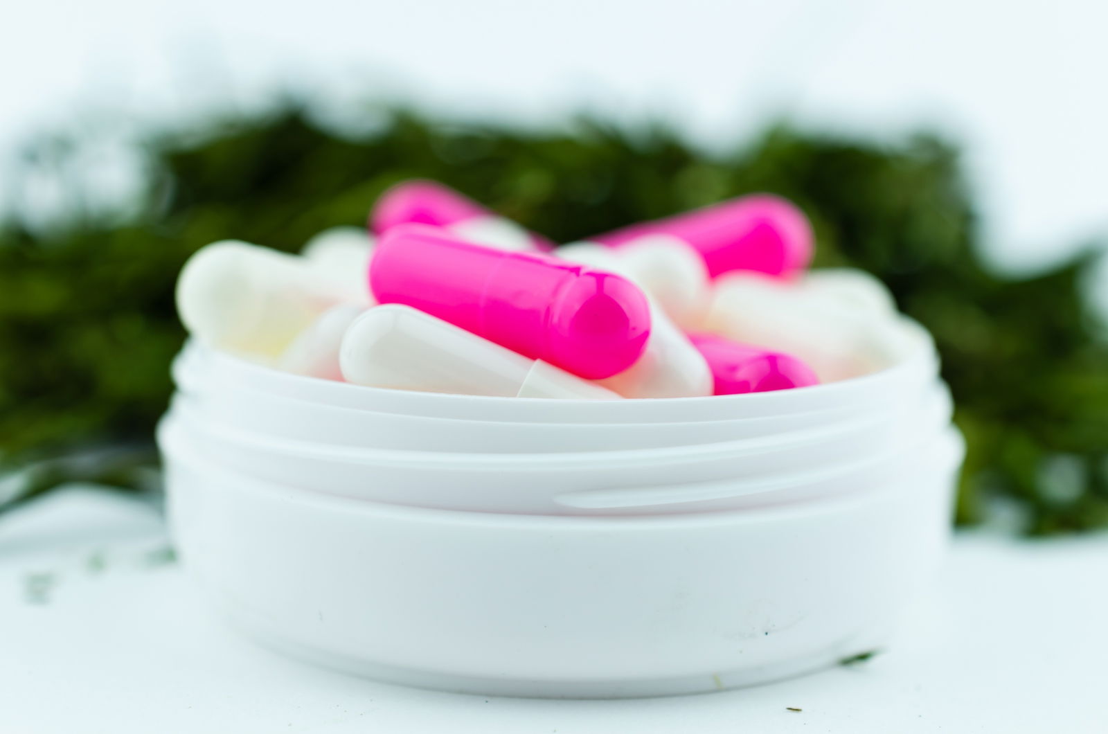 opioids for chronic pain