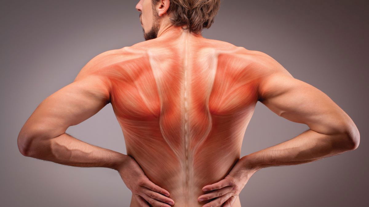 Introduced two years ago in the U.S., TEMS is a one-two punch for both back pain and weight loss for clinics looking to...