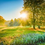 Top vitamin D supplements advice for absorption