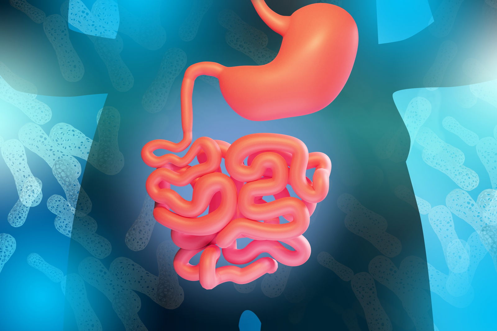 WHEN THE BODY IS DEALING WITH CHRONIC DISEASE OR LOW-LEVEL SYSTEMIC INFLAMMATION, the immune system becomes dysregulated. It becomes imbalanced and clogged with old white blood cells that aren’t functioning well. In this situation, boosting the immune system may not be the best strategy for restoring health.