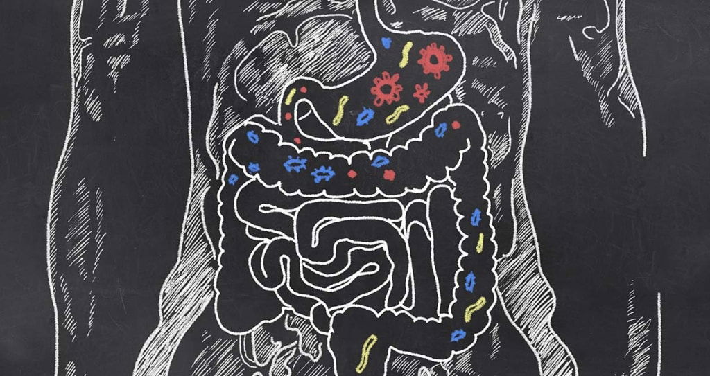 The Gut-brain connection to treat depression, anxirty and inflammation.
