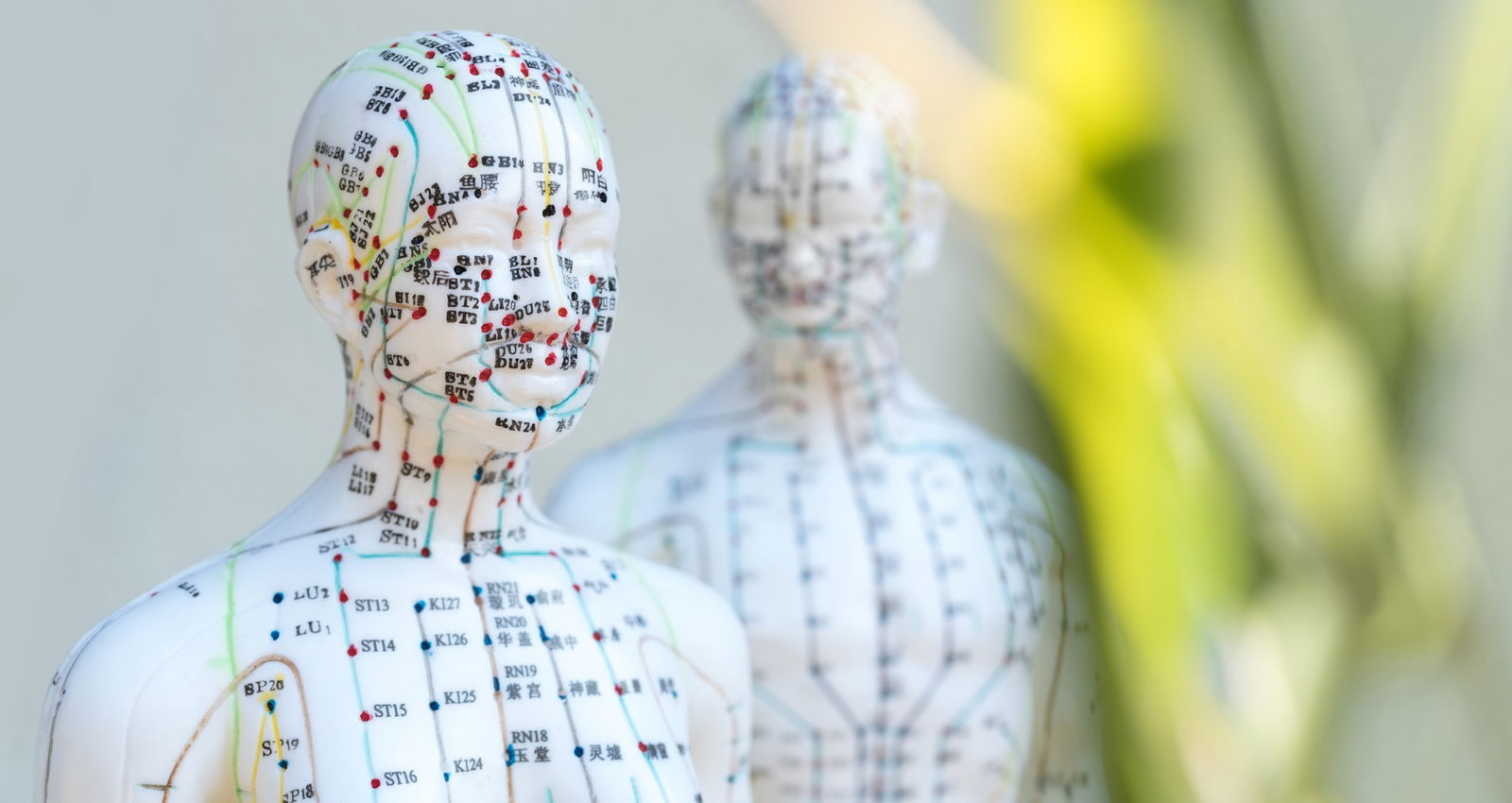 Laser acupuncture and auricular therapy